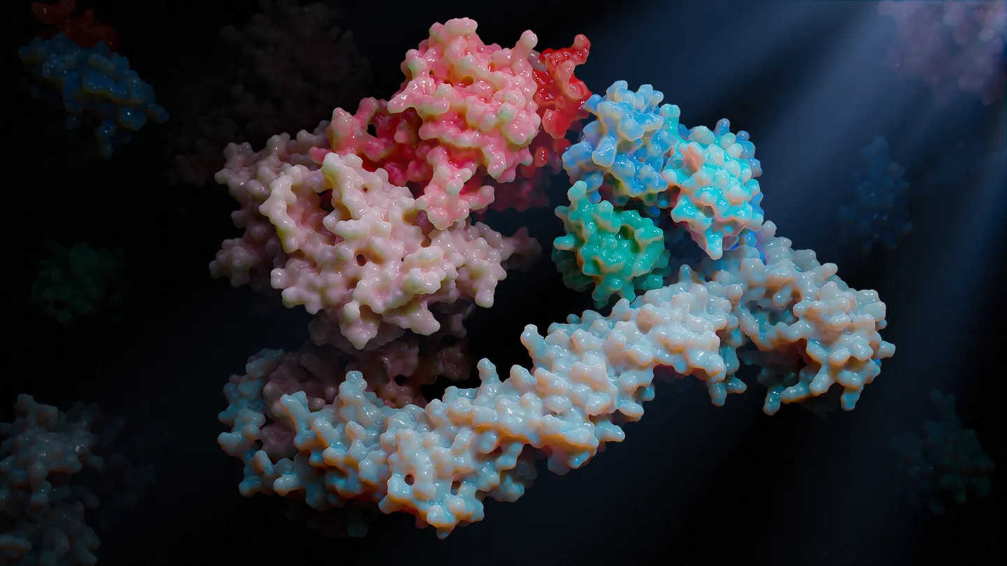 E3 Ligase Complex